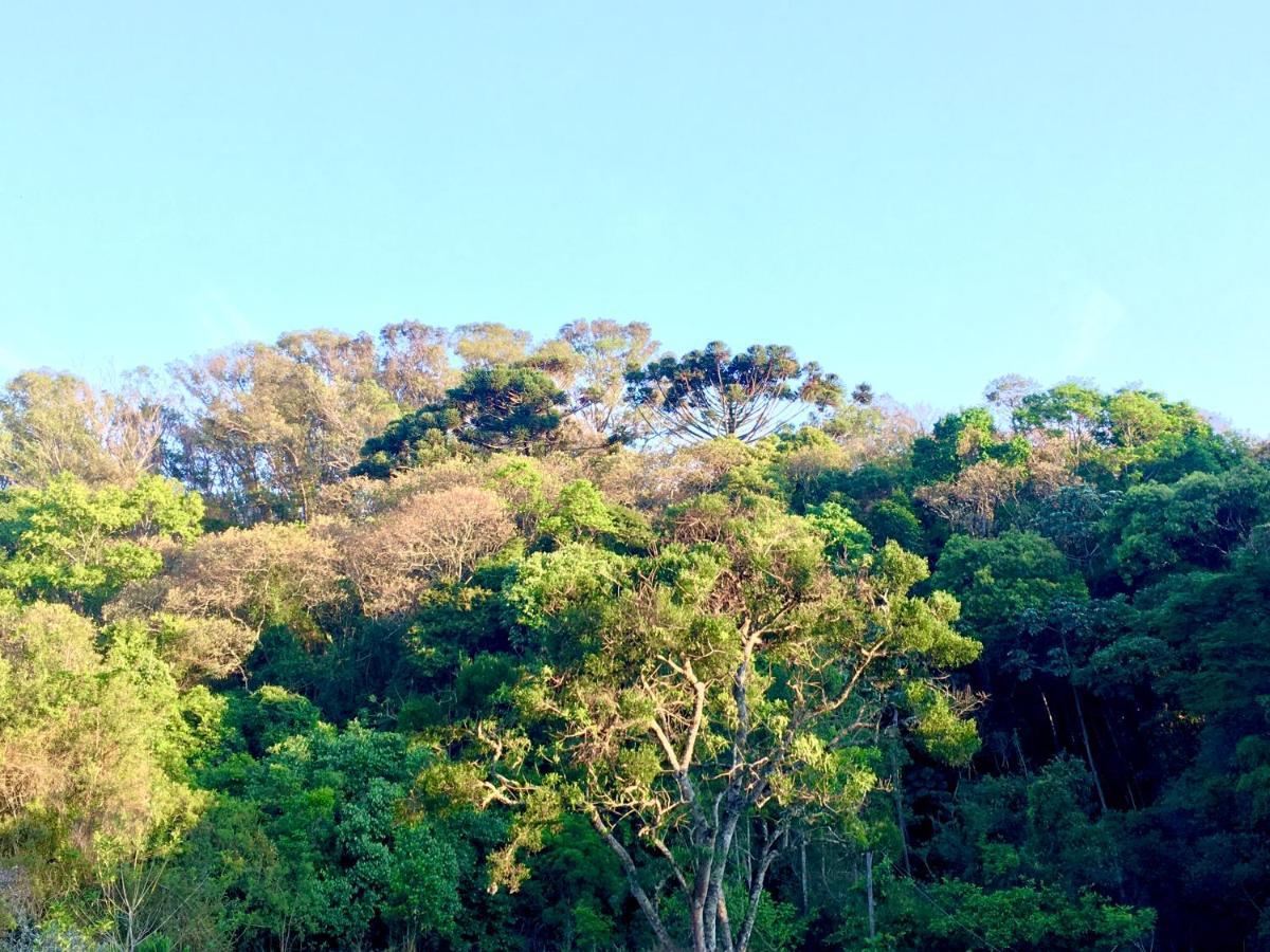 Sitio Belucci Bed & Breakfast Pinhalzinho  Luaran gambar
