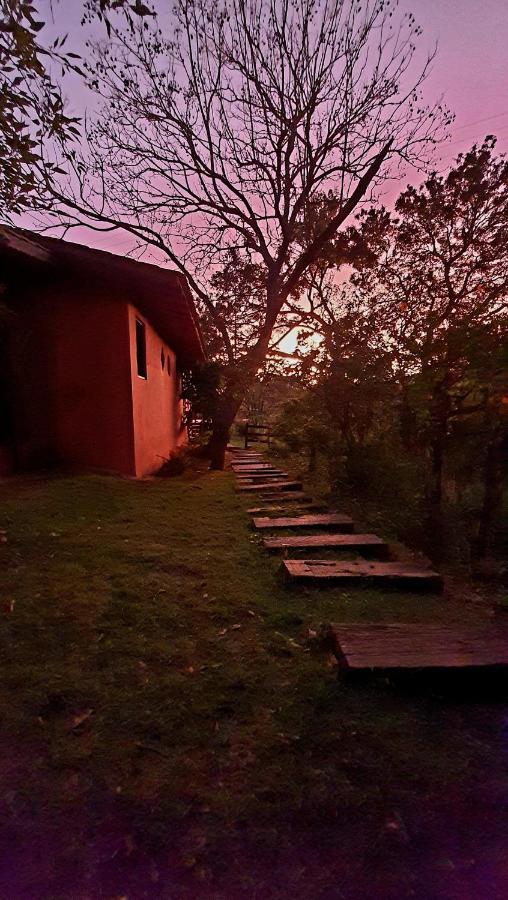 Sitio Belucci Bed & Breakfast Pinhalzinho  Luaran gambar
